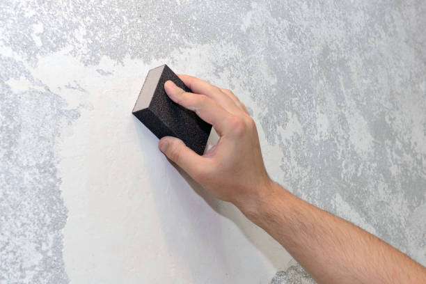 Best Biohazard Mold Removal  in Loris, SC