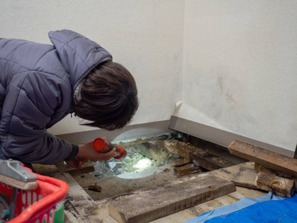 Best Dehumidification Services  in Loris, SC