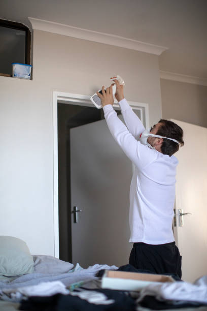 Trusted Loris, SC Mold Removal Experts