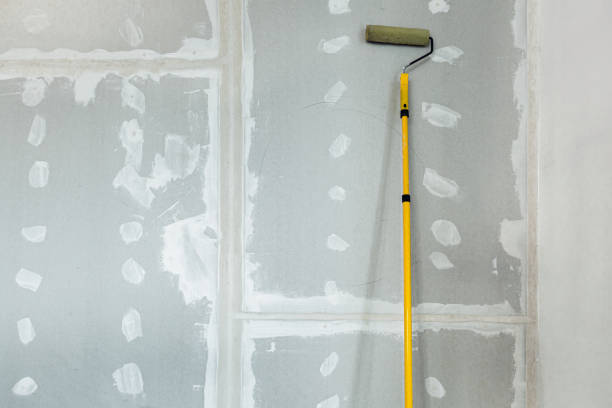 Best Environmental Consulting for Mold Prevention  in Loris, SC