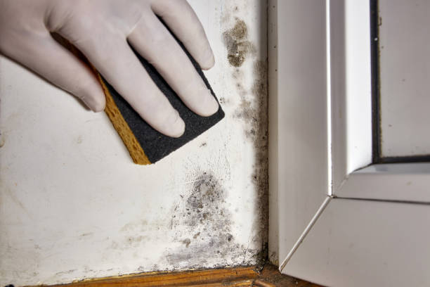 Best Indoor Air Quality Assessment  in Loris, SC