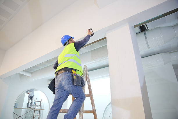 Best Mold Remediation for Healthcare Facilities  in Loris, SC