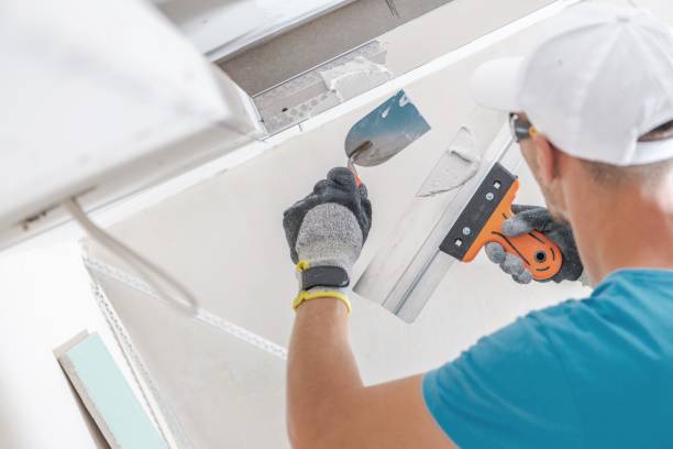 Best Mold Documentation for Insurance Claims  in Loris, SC